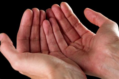 Understanding Palmistry The Art Of Palm Reading Astrology Bay