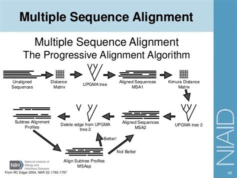 Blast And Sequence Alignment