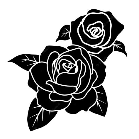 Fundo De Ilustração Vetorial De Decoração De Flores De Rosa Preta
