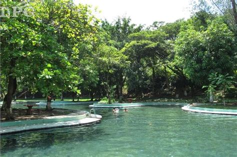 Moderna trabaja en el desarrollo de su vacuna contra el coronavirus desde norwood, massachusetts. UN LUGAR DE "CONEJOS" EN EL SALVADOR (+FOTOS) | Prensa Gráfica