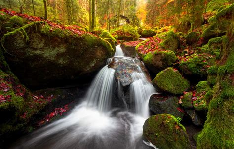 Wallpaper Autumn Forest Stream Stones Waterfall Moss Germany