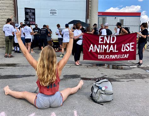 Lockdown latest breaking news, pictures, photos and video news. Activists Lockdown Slaughterhouse In Canada! | Jane ...