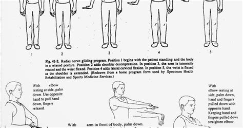 Radial Nerve Palsy Exercises
