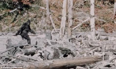 Dont Shoot Bigfoot Police In North Carolina Issue Warning After