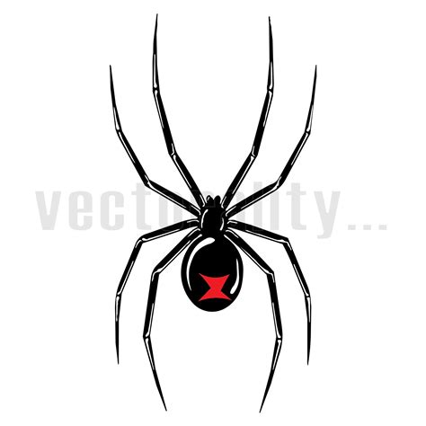 Black Widow Spider Design Ubicaciondepersonascdmxgobmx