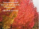 Photos of Fall Foliage Quotes