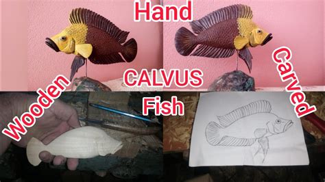 Wooden Hand Carved Calvus Fish Gold Head Compressiceps Katalamba