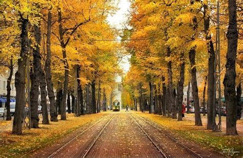 Autumn In Helsinki By Pajunen On Deviantart