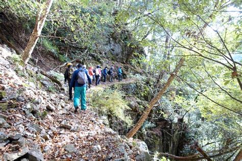 We strongly condemn such acts, &call for holding them accountable.pic.twitter.com/gyoaucol5d. 熊野古道紀行2020／筏師の道ハイク編