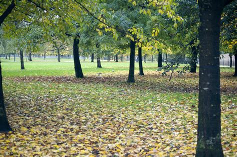 Free Image Of Wooded Park In Autumn Freebiephotography
