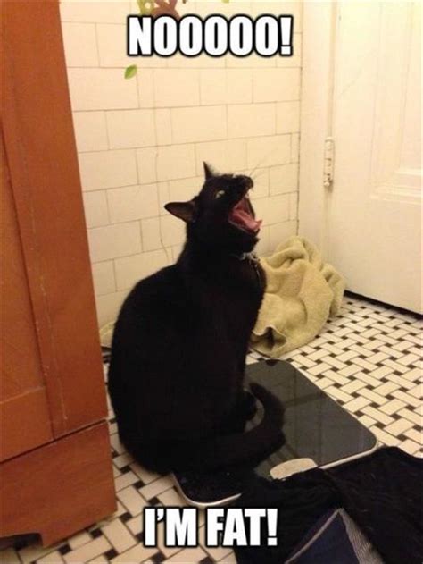 Funny Pic Dump (1.15.14)