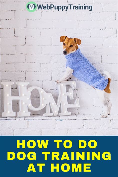 How To Do Dog Training At Home Puppy Training House Training Dogs