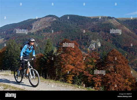 Mountain Bike Rider Female In Autumn On Hochries Mountain Chiemgau