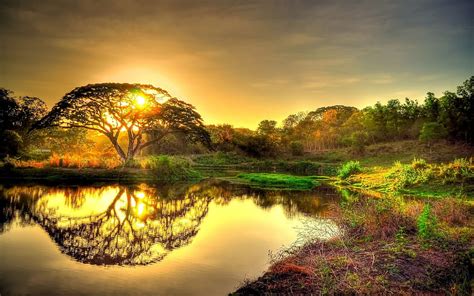 Sunset Golden Graphy Glow Beauty Reflection Perfection Nature