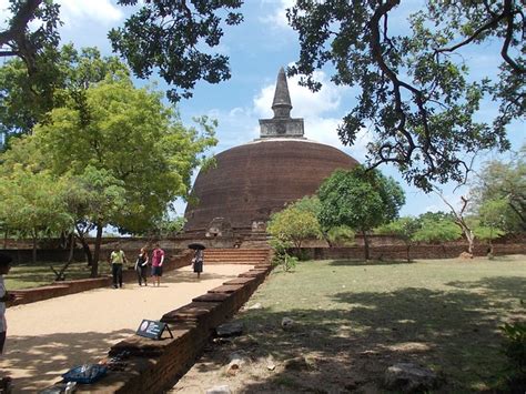 Polonnaruwa Travel Guide Best Things To Do In Polonnaruwa