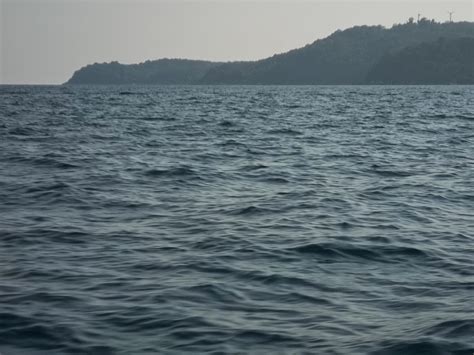 We did not find results for: MED XENXIA