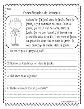 Reading Comprehension Worksheets/Compréhension de lecture (FRENCH)