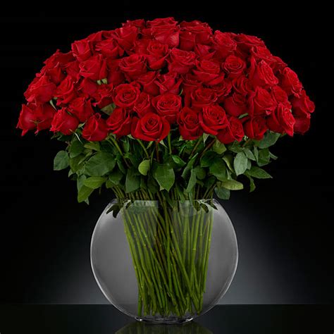 Check spelling or type a new query. BREATHLESS LUXURY ROSE BOUQUET PREMIUM LONG-STEMMED ROSES ...