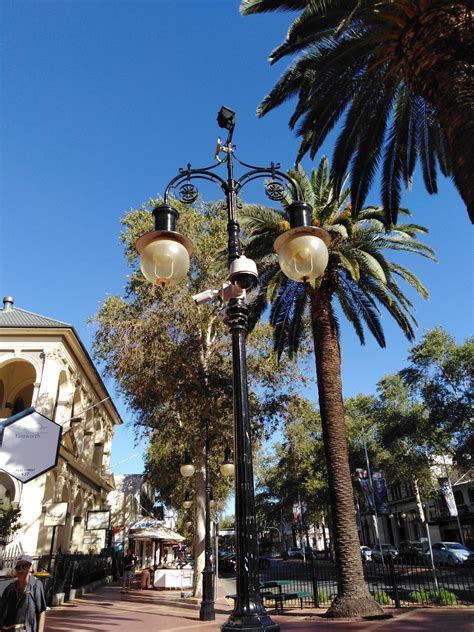Find the perfect tamworth australia stock photos and editorial news pictures from getty images. Tamworth, Queensland, Australia. The lamp must protect ...