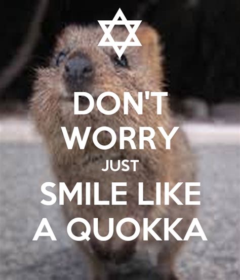 Dont Worry Just Smile Like A Quokka Poster Gligorandras Keep Calm