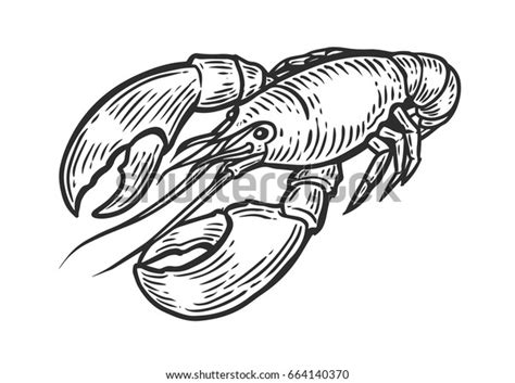 Lobster Omar Cancer Seafood Nature Ocean Stock Vector Royalty Free