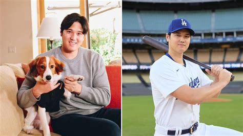 After Plenty Of Hype Mlb Star Shohei Ohtani Finally Reveals His Dogs