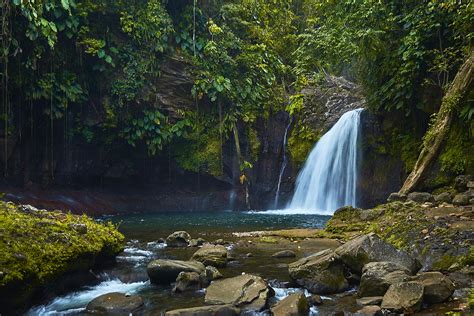 Top 10 Des Plus Belles Cascades Et Rivières En Guadeloupe