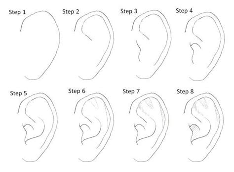 Drawing Manga Ears Step By Step Drawing Techniques Drawing Tips
