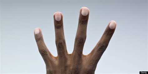 Finger Regeneration Stem Cells In Fingernails May Be Key To Regrowing