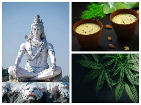 Mahashivratri 2022 The Significance Of Bhaang On Shivratri Times Of