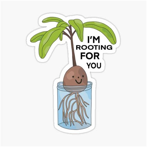 Rooting For You Meaning Pranploaty