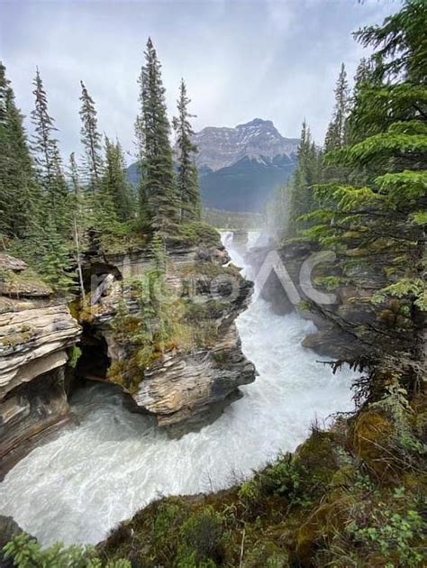カナダのアサバスカ滝 No 24716702｜写真素材なら 写真ac 無料（フリー）ダウンロードok
