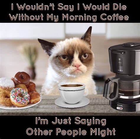 Funny Coffee Quotes Coffee Meme Coffee Talk Coffee Is Life Cat