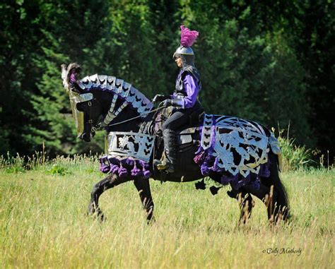 This Is Not My Photo But I Love It Just The Same Friesian Medieval