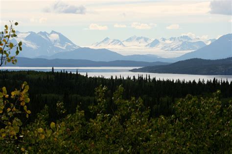 Mighty Yukon River Naturally North Idaho