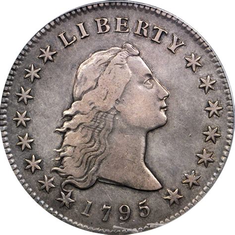 Value of a 1795 BB-24 Flowing Hair Silver Dollar | Rare Coin Buyers