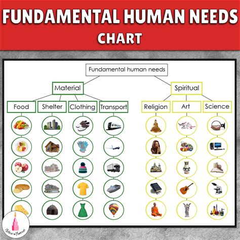 Fundamental Human Needs Chart A4 Sorting Cards Learning Cards