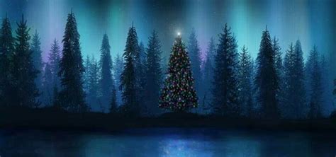 Christmas Tree Winter Nature Christmas Facebook Cover Nature Pictures