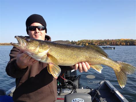 Leech lake is located right in the heart of the chippewa national forest, where the dense woodlands and shimmering waters give fishing there a true wilderness feel. Leisure Outdoor Adventures: Leech Lake Area-Brainerd Lakes ...