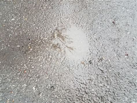 Wet Black Asphalt Or Ground With Reflective Water Puddle Stock Image