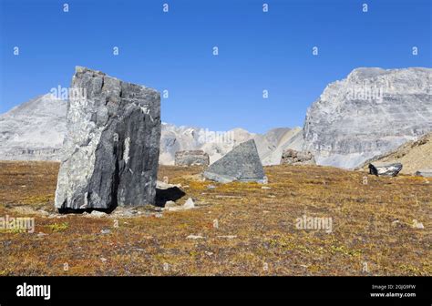 Giant Rock Stone Boulders Green Alpine Meadow Distant Rocky Mountain