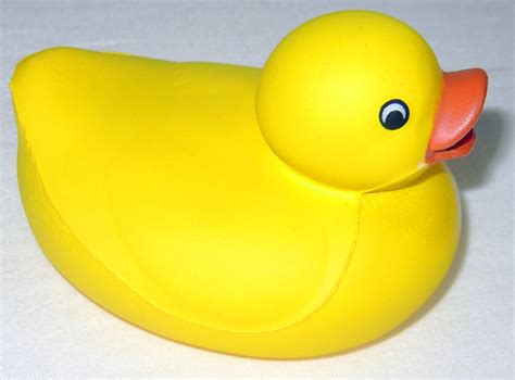 Rubber Duckie Free Photo Download Freeimages