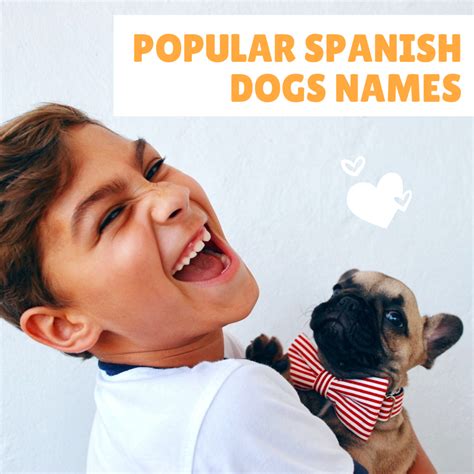 By janice jones |published january 29, 2020. 100+ Popular Spanish Dog Names and Their Meanings | PetHelpful