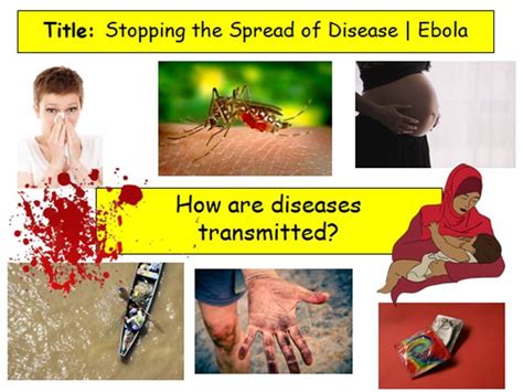 Disease Transmission Ebola Teaching Resources