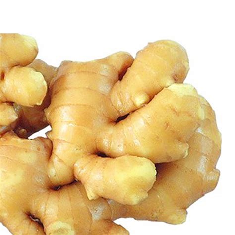 China Fresh Ginger For Mid East Market China Fresh Ginger Ginger