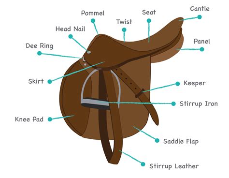 Horse Tack Diagram