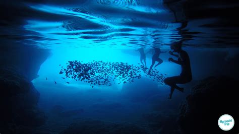 Blue Room Cave Curacao Snorkel Experience
