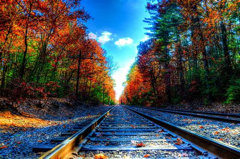Empty Train Railroad Between Trees Autumn Trees Foliage Rails