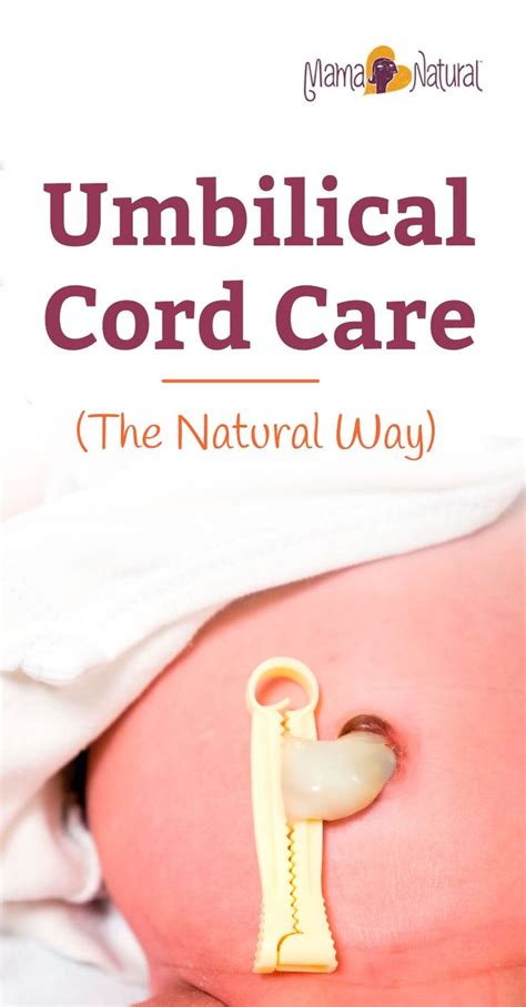 Wondering About Umbilical Cord Care Alcohol Is No Longer Recommended