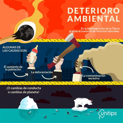 Deterioro Ambiental En El Mundo Principales Causas Del Deterioro Hot